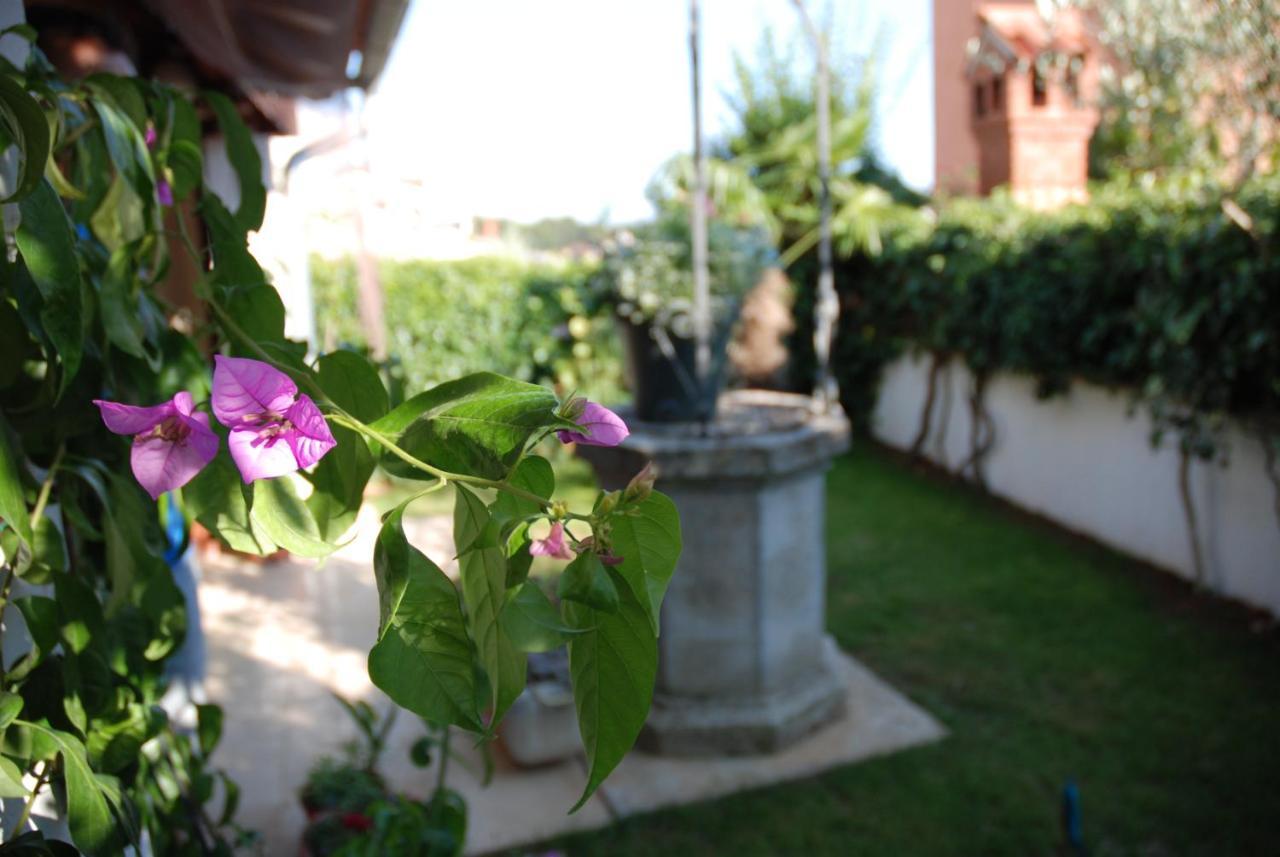 B&B Sea Joy Rovinj Exterior foto